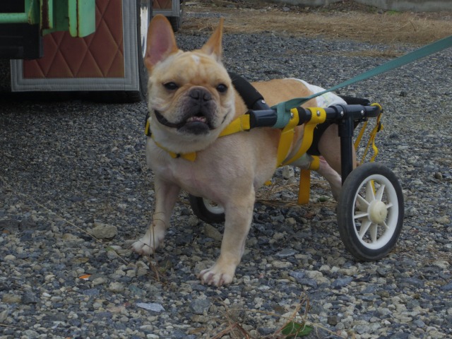 640×480-IMGP2470.jpg