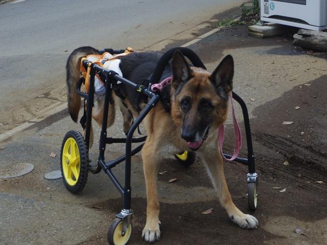 640×480-IMGP2485.jpg