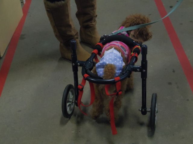 640×480-IMGP2491.jpg
