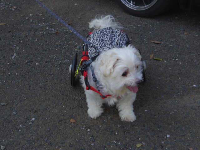 640×480-IMGP2504.jpg