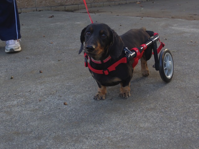 640×480-IMGP2510.jpg