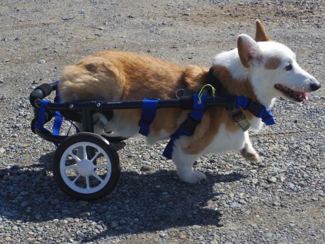 640×480-IMGP2518.jpg