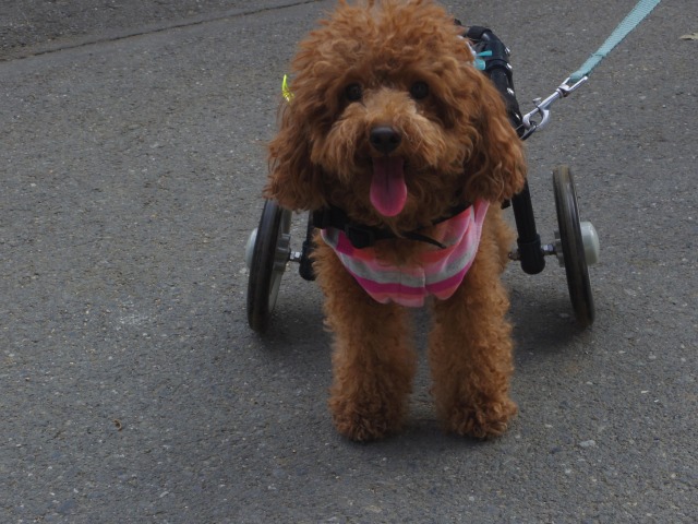 640×480-IMGP2535.jpg