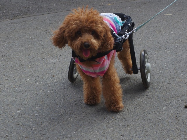 640×480-IMGP2536.jpg