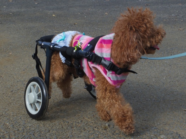 640×480-IMGP2538.jpg