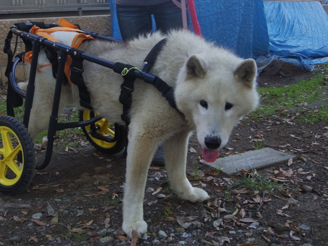 640×480-IMGP2548.jpg