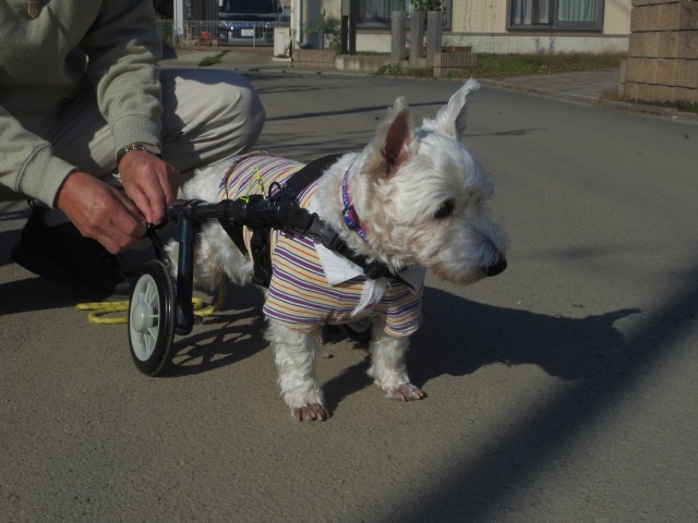 640×480-IMGP2554.jpg