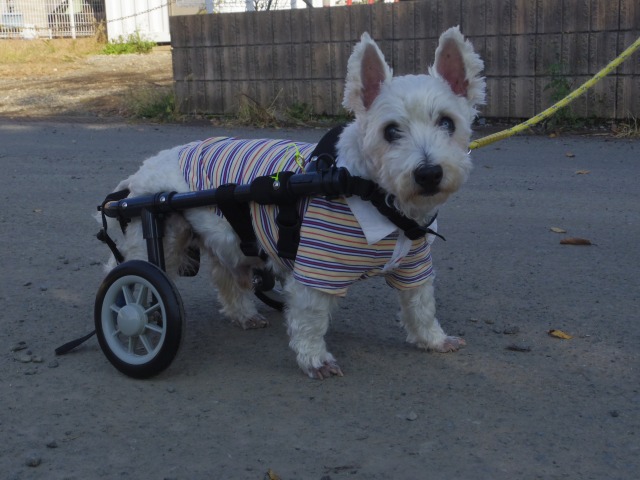 640×480-IMGP2559.jpg