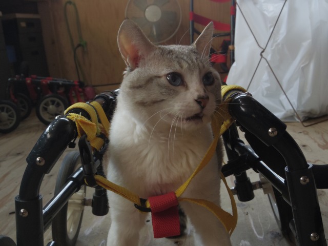 640×480-IMGP2565.jpg