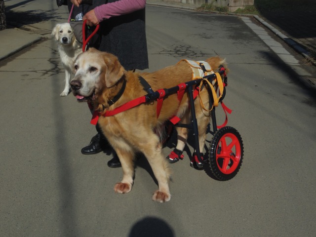 640×480-IMGP2585.jpg
