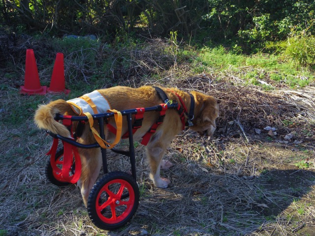 640×480-IMGP2587.jpg