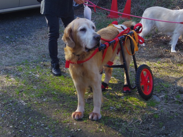 640×480-IMGP2589.jpg