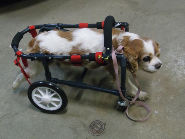 640×480-IMGP2595.jpg