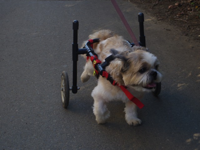 640×480-IMGP2607.jpg