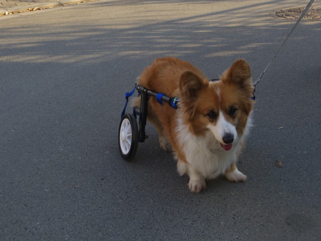 640×480-IMGP2633.jpg