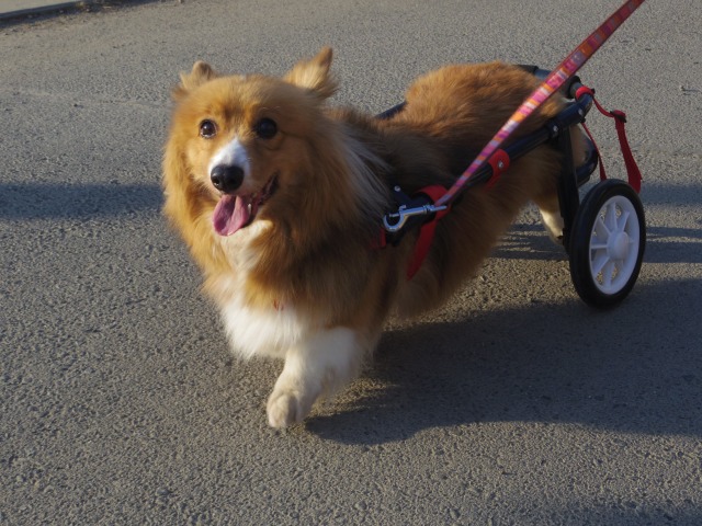 640×480-IMGP2644.jpg