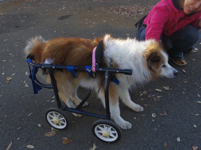 640×480-IMGP2669.jpg