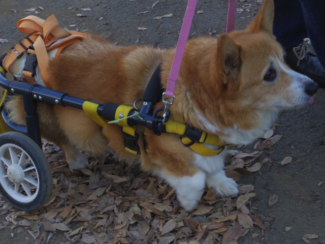 640×480-IMGP2674.jpg