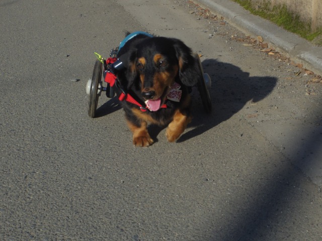 640×480-IMGP2687.jpg