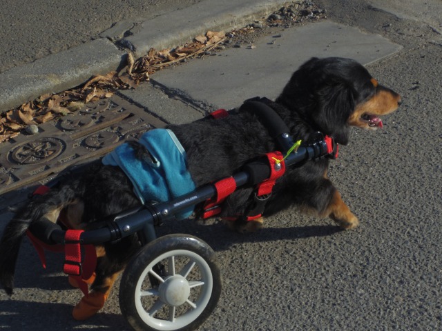 640×480-IMGP2688.jpg