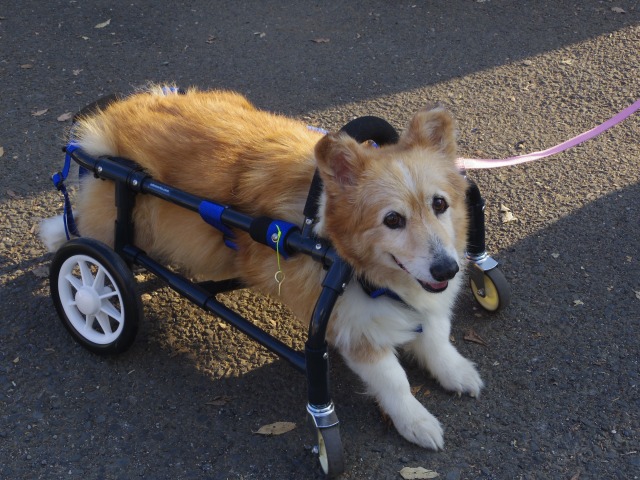 640×480-IMGP2694.jpg