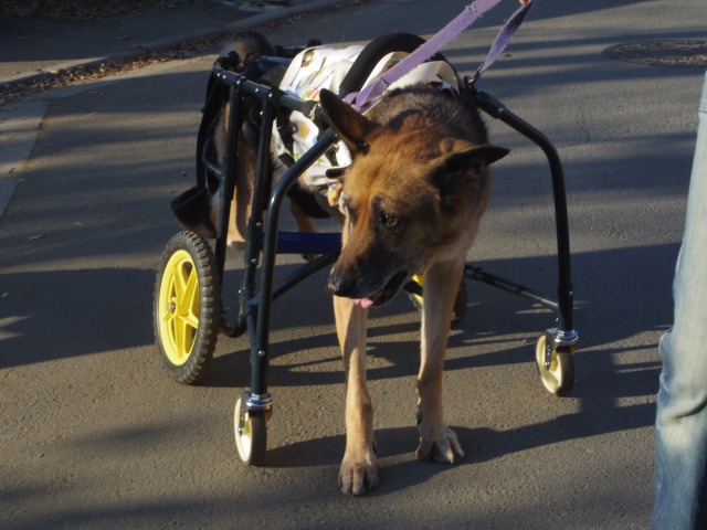 640×480-IMGP2696.jpg