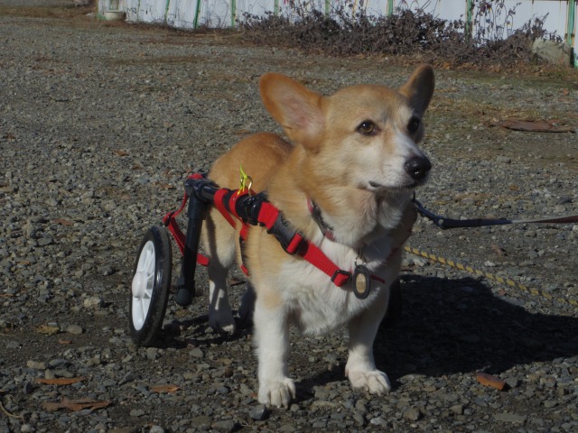 640×480-IMGP2727.jpg