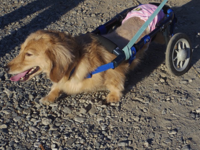 640×480-IMGP2741.jpg