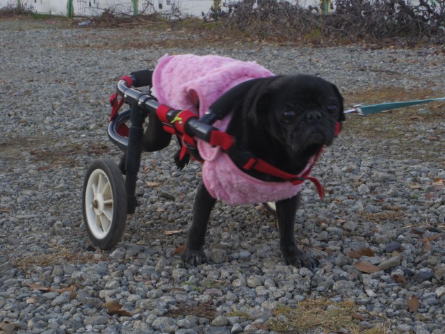 640×480-IMGP2756.jpg