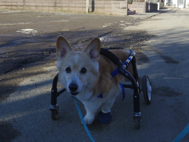 640×480-IMGP2761.jpg