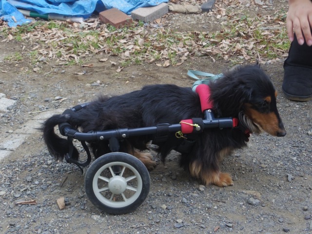 640×480-IMGP2794.jpg