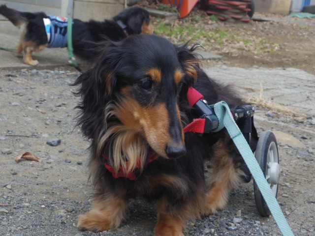 640×480-IMGP2796.jpg