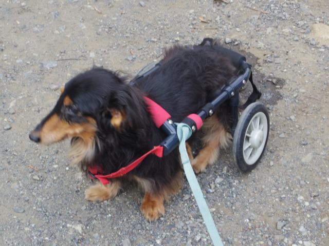 640×480-IMGP2798.jpg