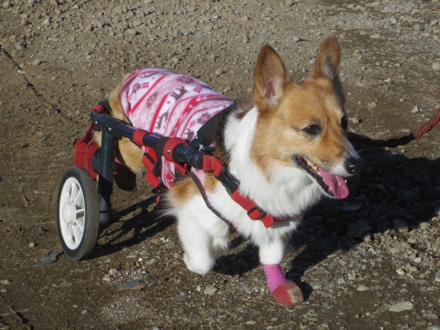 640×480-IMGP2803.jpg