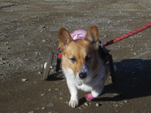 640×480-IMGP2809.jpg