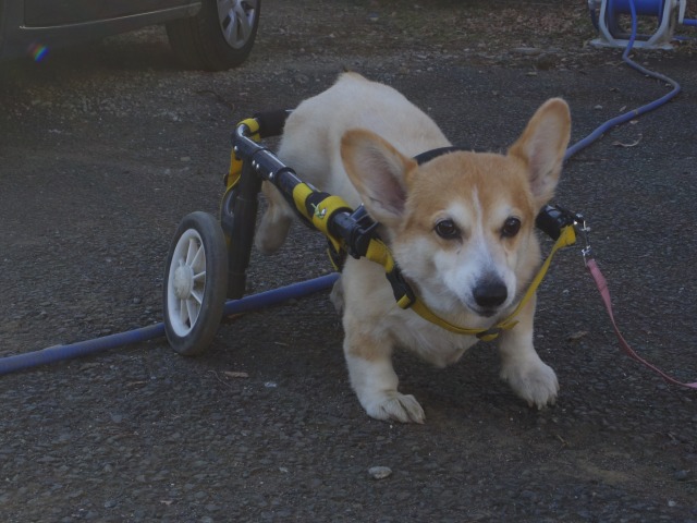 640×480-IMGP2830.jpg