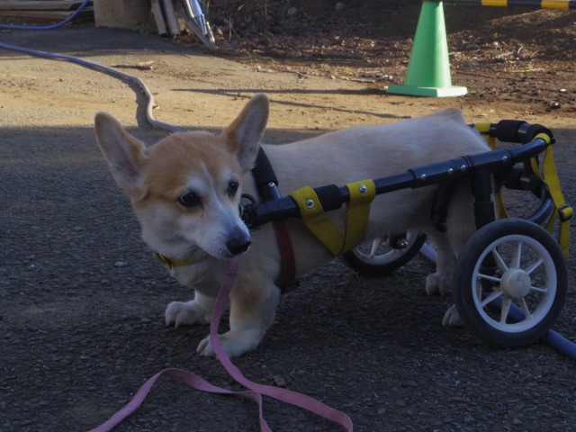 640×480-IMGP2835.jpg
