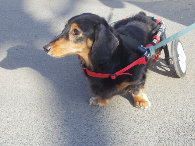 640×480-IMGP2849.jpg