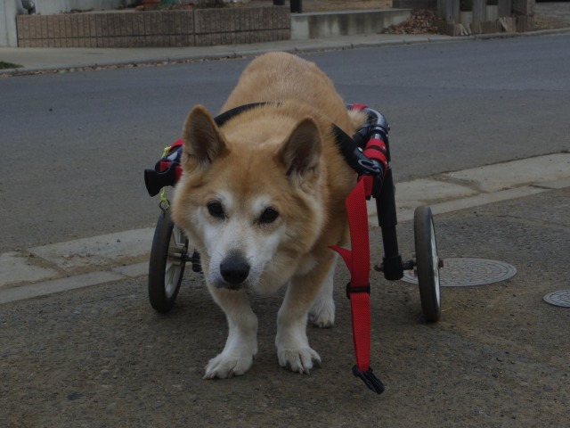 640×480-IMGP2868.jpg