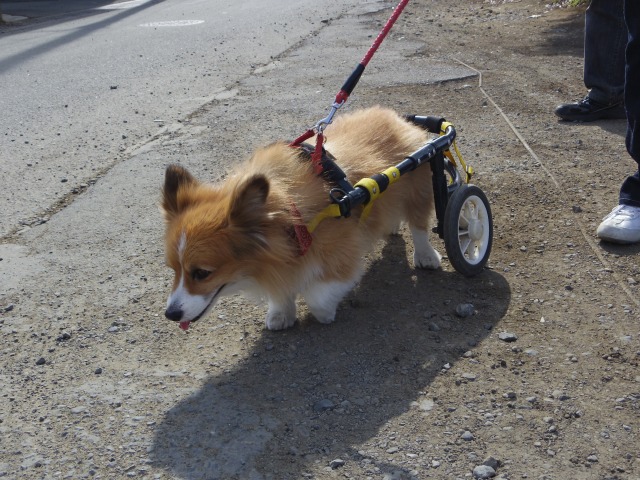 640×480-IMGP2897.jpg
