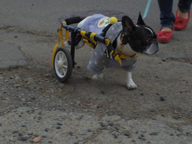 640×480-IMGP2901.jpg