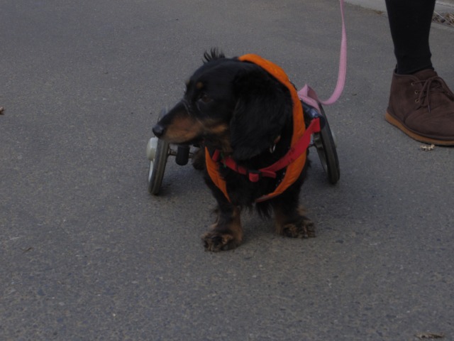 640×480-IMGP2916.jpg