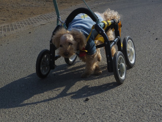 640×480-IMGP2947.jpg