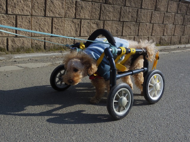 640×480-IMGP2950.jpg
