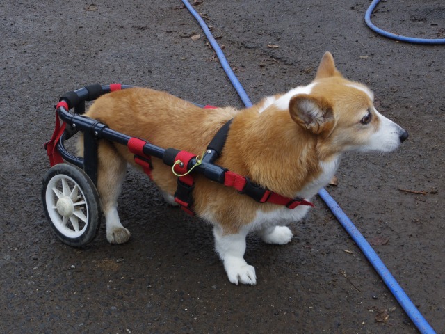 640×480-IMGP3041.jpg