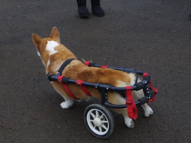 640×480-IMGP3045.jpg