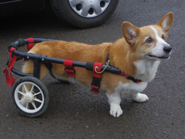 640×480-IMGP3047.jpg