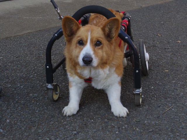 640×480-IMGP3050.jpg