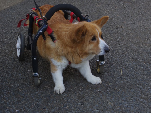 640×480-IMGP3051.jpg