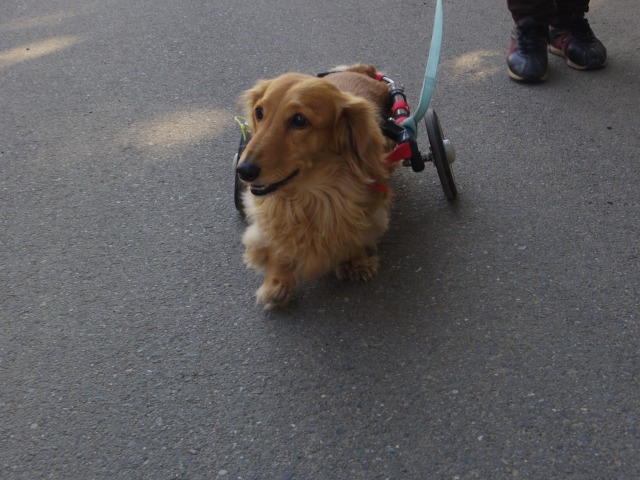 640×480-IMGP3056.jpg